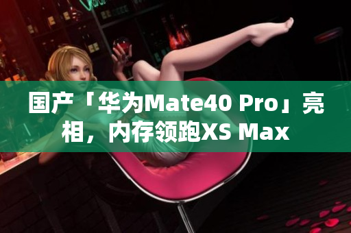 国产「华为Mate40 Pro」亮相，内存领跑XS Max