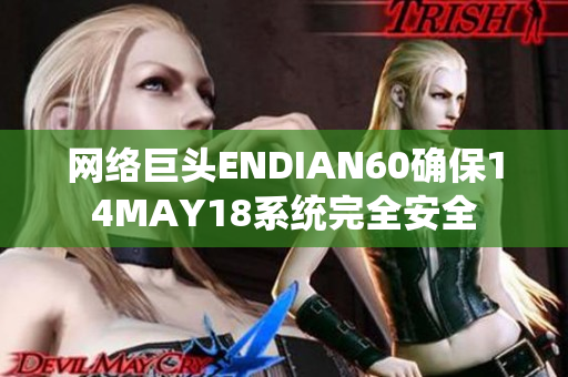 网络巨头ENDIAN60确保14MAY18系统完全安全