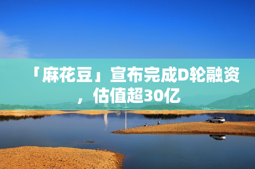 「麻花豆」宣布完成D轮融资，估值超30亿