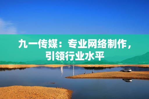 九一传媒：专业网络制作，引领行业水平