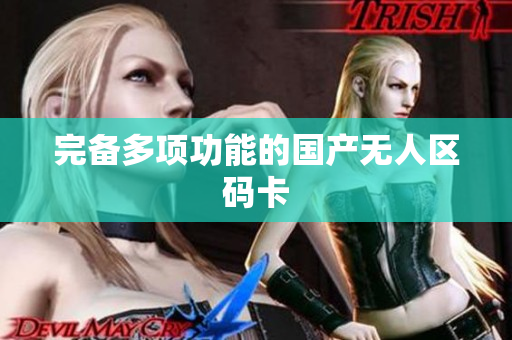 完备多项功能的国产无人区码卡