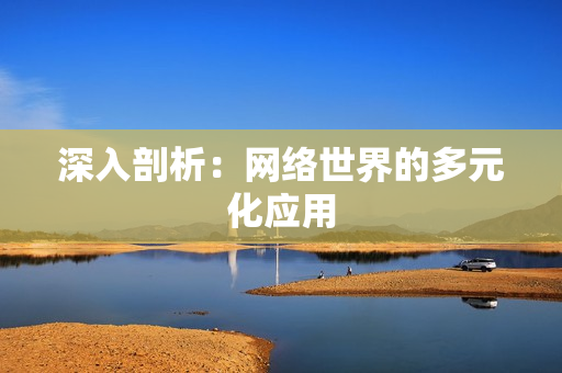 深入剖析：网络世界的多元化应用