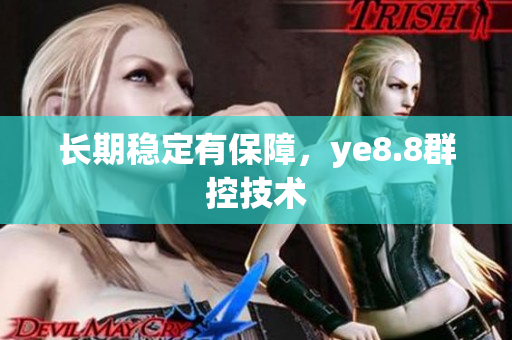 长期稳定有保障，ye8.8群控技术