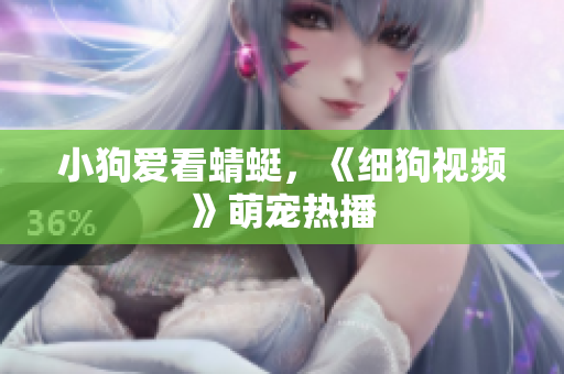 小狗爱看蜻蜓，《细狗视频》萌宠热播
