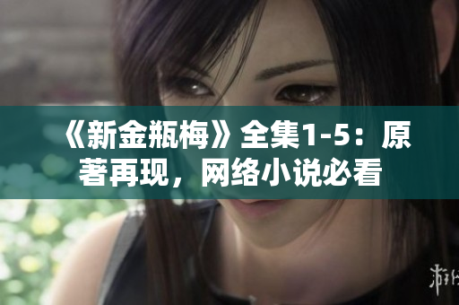 《新金瓶梅》全集1-5：原著再现，网络小说必看