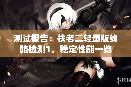 测试报告：扶老二轻量版线路检测1，稳定性能一览