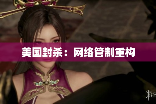 美国封杀：网络管制重构