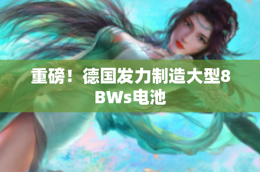 重磅！德国发力制造大型8BWs电池