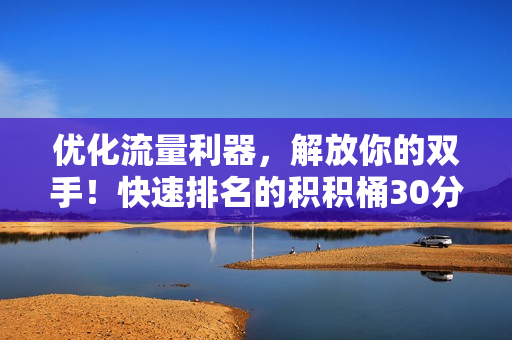 优化流量利器，解放你的双手！快速排名的积积桶30分软件
