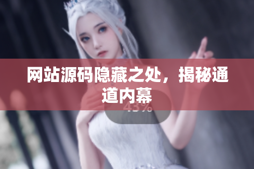 网站源码隐藏之处，揭秘通道内幕
