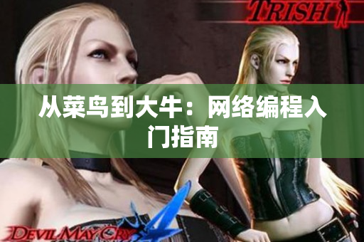 从菜鸟到大牛：网络编程入门指南