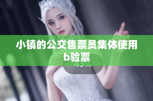 小镇的公交售票员集体使用b验票