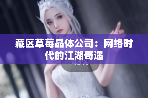 藏区草莓晶体公司：网络时代的江湖奇遇