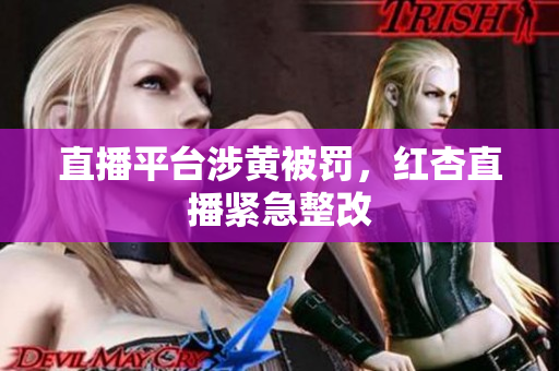 直播平台涉黄被罚，红杏直播紧急整改