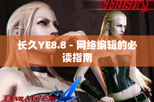 长久YE8.8 - 网络编辑的必读指南