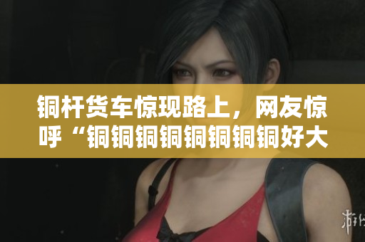 铜杆货车惊现路上，网友惊呼“铜铜铜铜铜铜铜铜好大好硬”