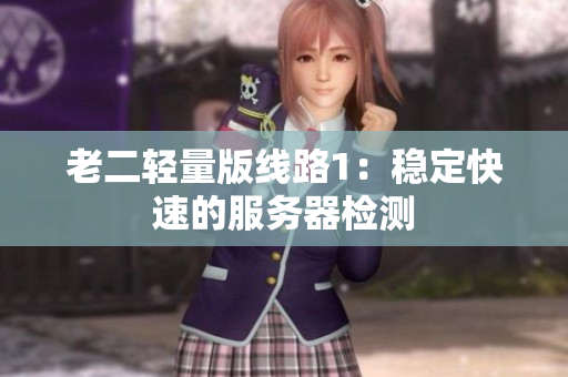 老二轻量版线路1：稳定快速的服务器检测