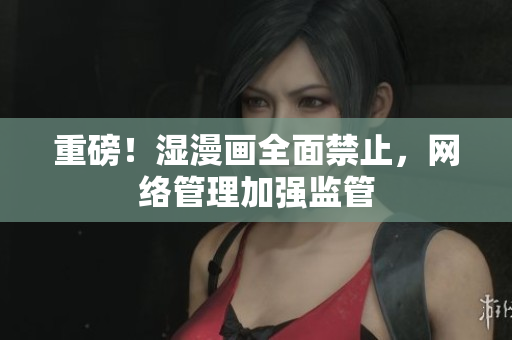 重磅！湿漫画全面禁止，网络管理加强监管