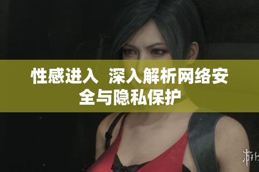 性感进入  深入解析网络安全与隐私保护