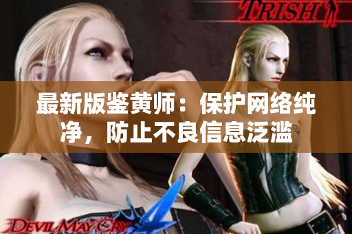 最新版鉴黄师：保护网络纯净，防止不良信息泛滥
