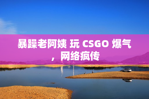暴躁老阿姨 玩 CSGO 爆气，网络疯传