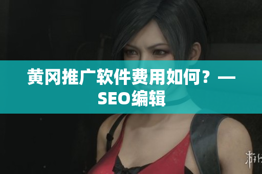 黄冈推广软件费用如何？—SEO编辑