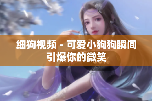 细狗视频 - 可爱小狗狗瞬间引爆你的微笑