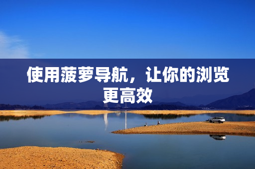 使用菠萝导航，让你的浏览更高效