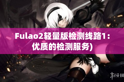 Fulao2轻量版检测线路1：优质的检测服务)