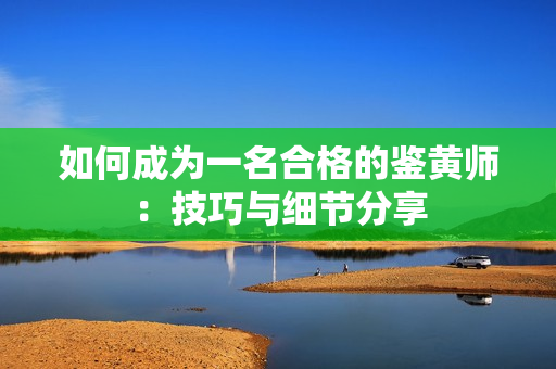如何成为一名合格的鉴黄师：技巧与细节分享