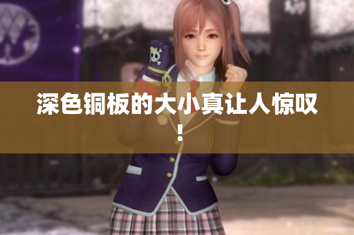 深色铜板的大小真让人惊叹！