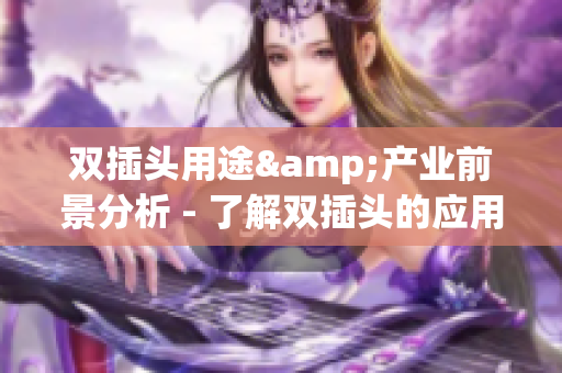 双插头用途&产业前景分析 - 了解双插头的应用及未来发展