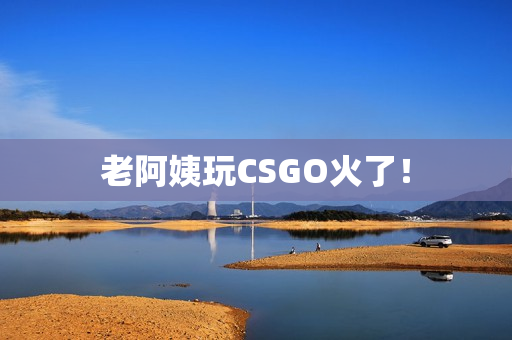 老阿姨玩CSGO火了！
