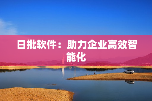 日批软件：助力企业高效智能化
