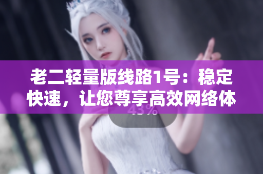 老二轻量版线路1号：稳定快速，让您尊享高效网络体验