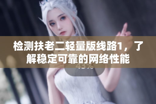 检测扶老二轻量版线路1，了解稳定可靠的网络性能