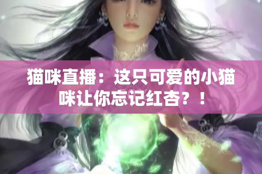 猫咪直播：这只可爱的小猫咪让你忘记红杏？！