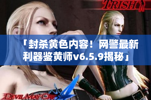 「封杀黄色内容！网警最新利器鉴黄师v6.5.9揭秘」