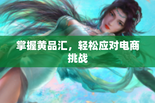 掌握黄品汇，轻松应对电商挑战