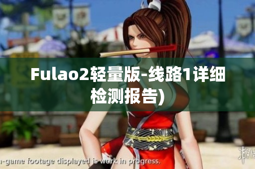 Fulao2轻量版-线路1详细检测报告)