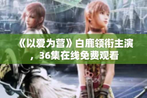 《以爱为营》白鹿领衔主演，36集在线免费观看