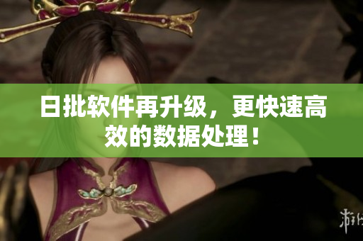 日批软件再升级，更快速高效的数据处理！
