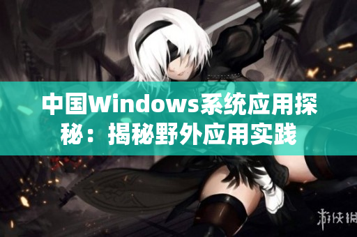 中国Windows系统应用探秘：揭秘野外应用实践