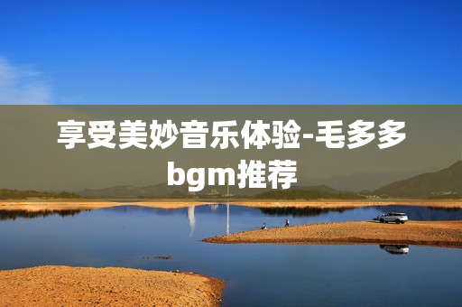 享受美妙音乐体验-毛多多bgm推荐