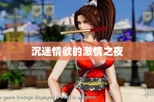 沉迷情欲的激情之夜