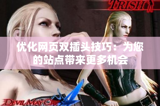 优化网页双插头技巧：为您的站点带来更多机会