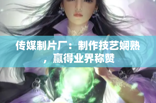 传媒制片厂：制作技艺娴熟，赢得业界称赞