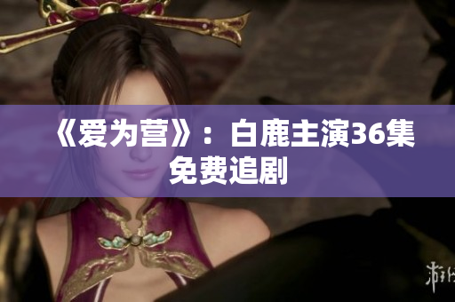 《爱为营》：白鹿主演36集免费追剧
