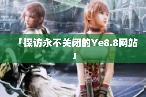 「探访永不关闭的Ye8.8网站」
