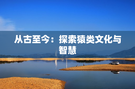 从古至今：探索猿类文化与智慧